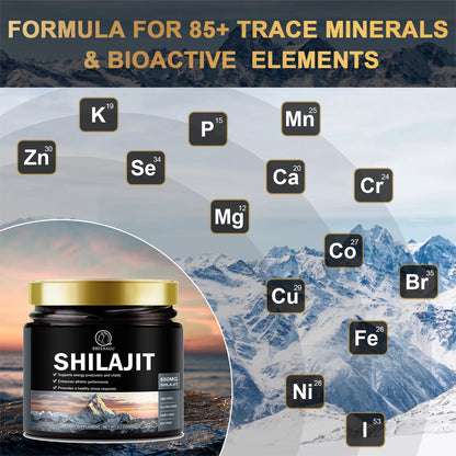 60g 100% Himalaya Pure Shilajit Resin